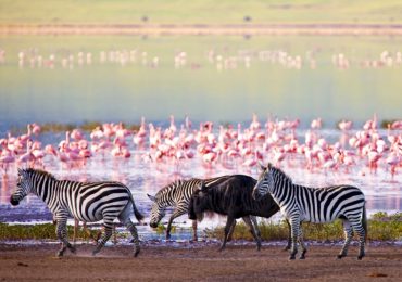 lake manyara2