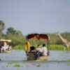 selous3