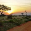 tsavo-east-park