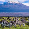 amboseli-national-park-tours