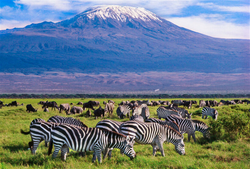 amboseli-national-park-tours