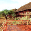 ngutuni-safari