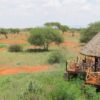 ngutuni-safari-lodge
