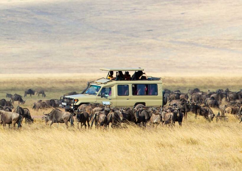 serengeti